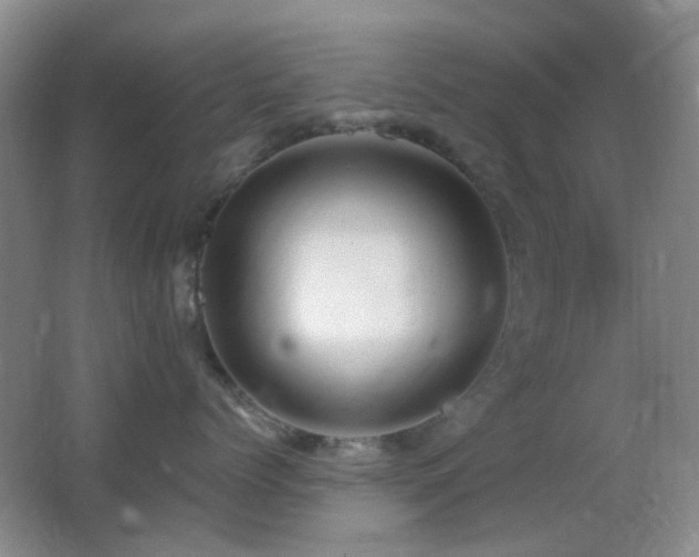 X0000062910768200601131426