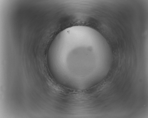 X0000062910769200601131425