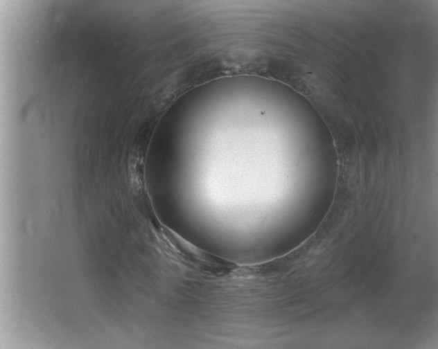 X0000062910770200601131425