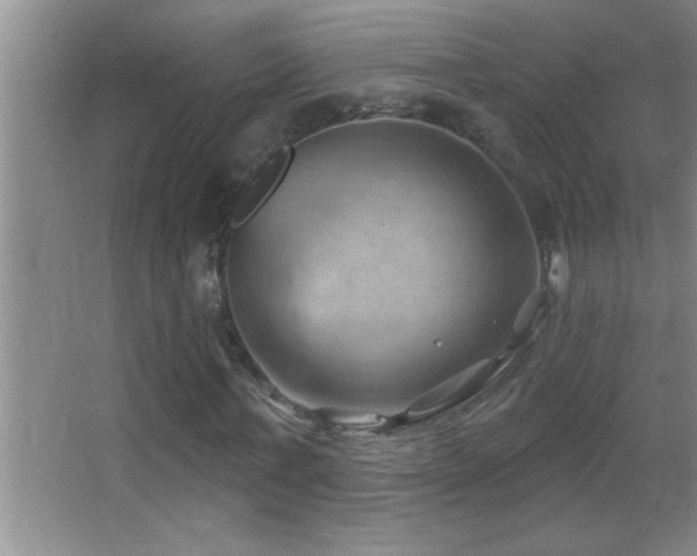 X0000062910771200601131425