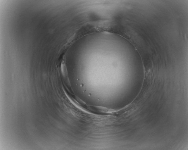 X0000062910772200601131425