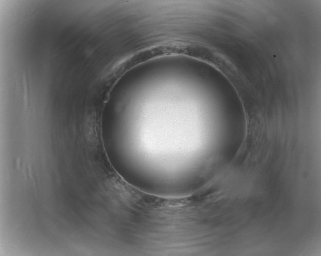 X0000062910773200601131425