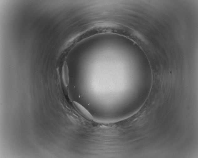 X0000062910775200601131425