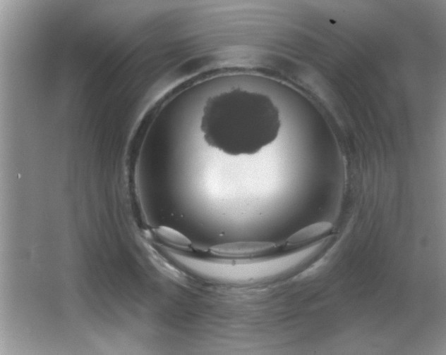 X0000062910779200601131425