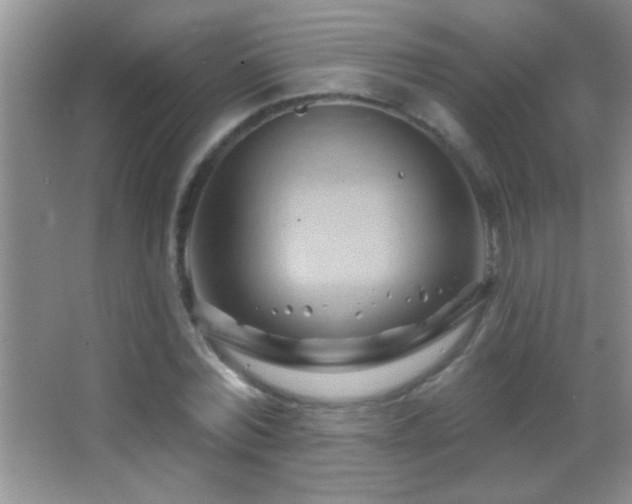 X0000062910780200601131425