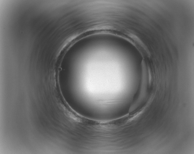 X0000062910781200601131425