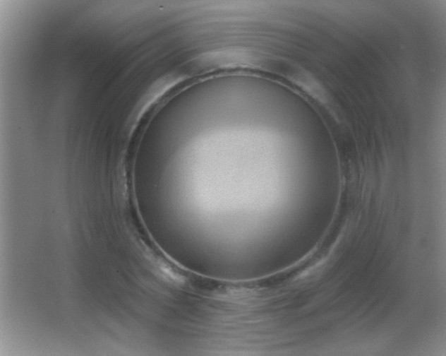 X0000062910782200601131425