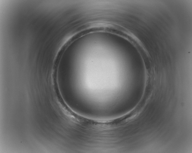 X0000062910783200601131425