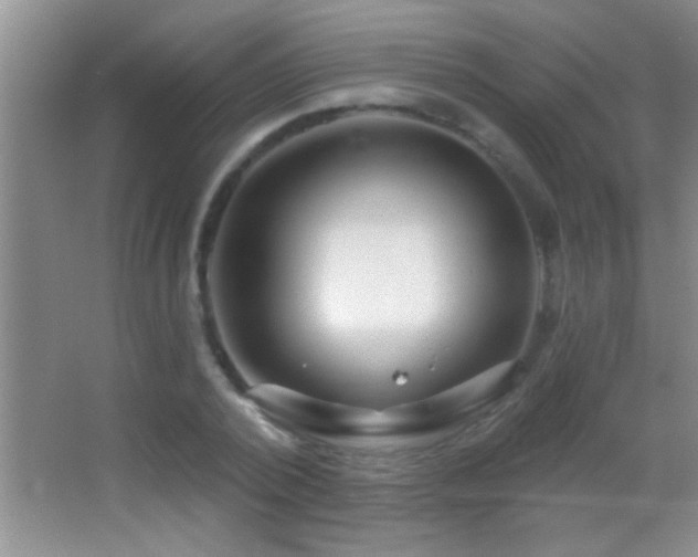 X0000062910784200601131425