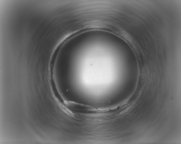 X0000062910787200601131425