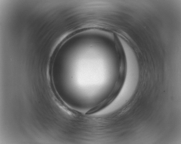 X0000062910788200601131425