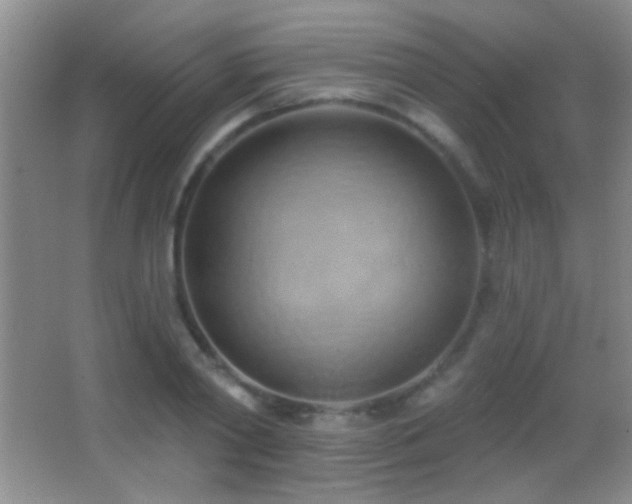 X0000062910790200601131425