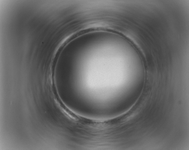 X0000062910791200601131425