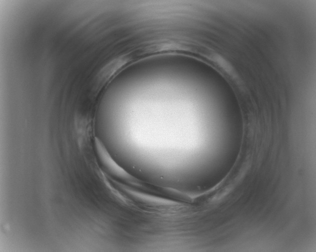 X0000062910793200601131425