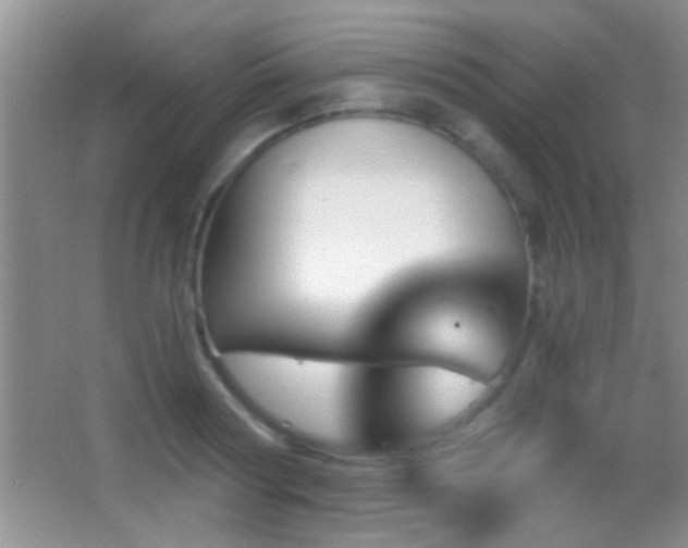 X0000062910794200601131425