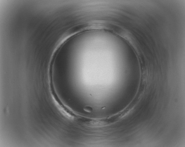 X0000062910795200601131425