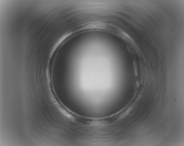 X0000062910796200601131425