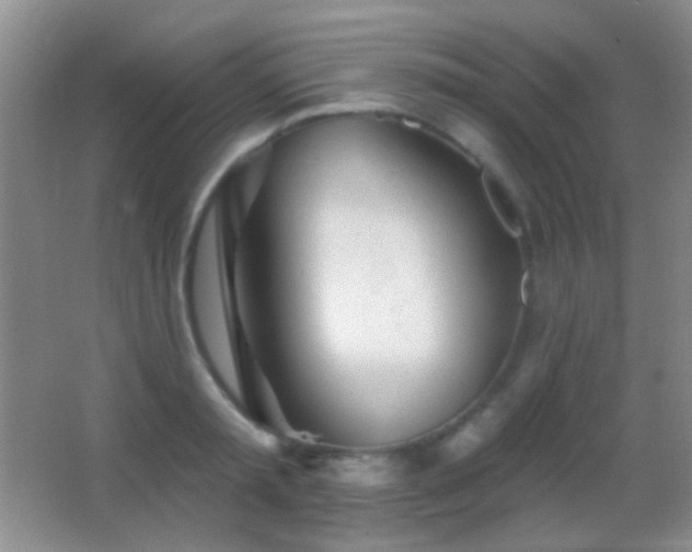 X0000062910797200601131425