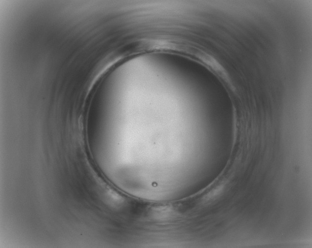 X0000062910798200601131425