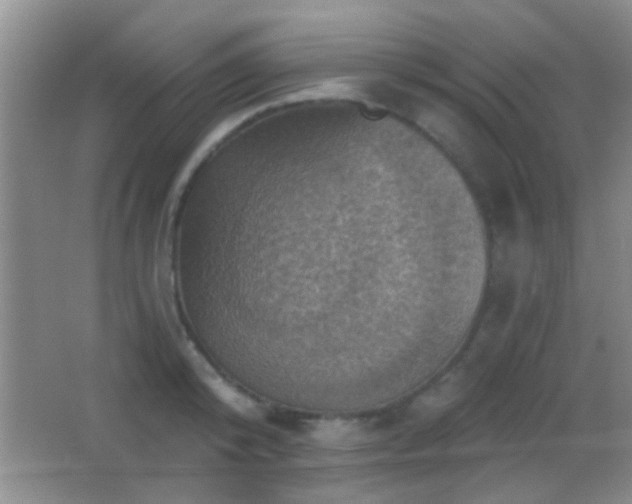 X0000062910800200601131425