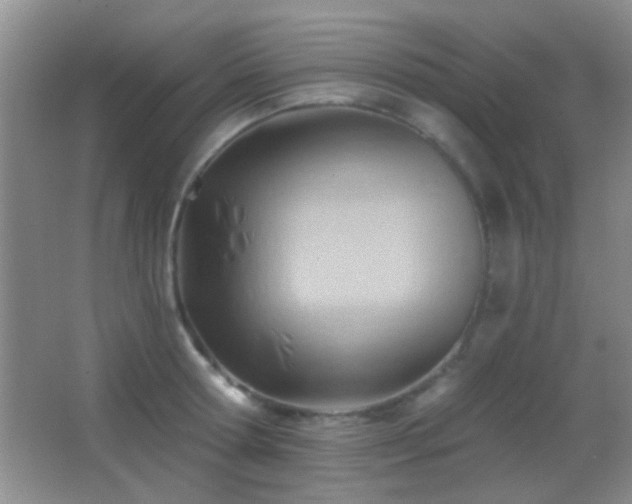 X0000062910802200601131425