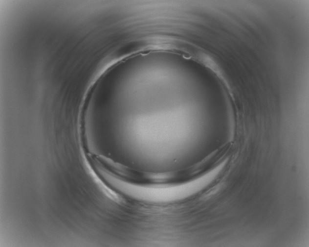 X0000062910803200601131425