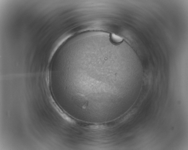 X0000062910804200601131425