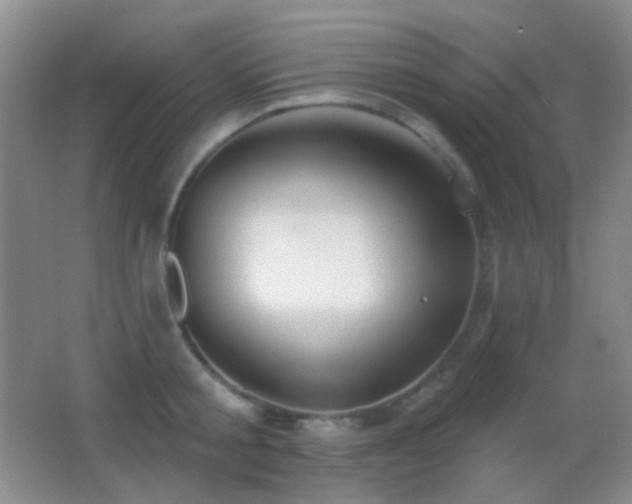 X0000062910805200601131425