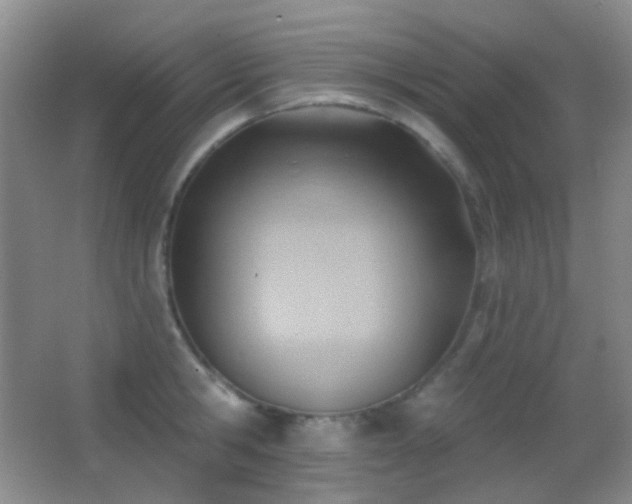 X0000062910806200601131424