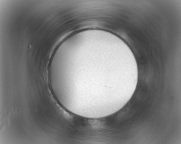 X0000062910807200601131424