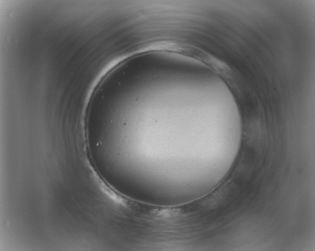 X0000062910808200601131424