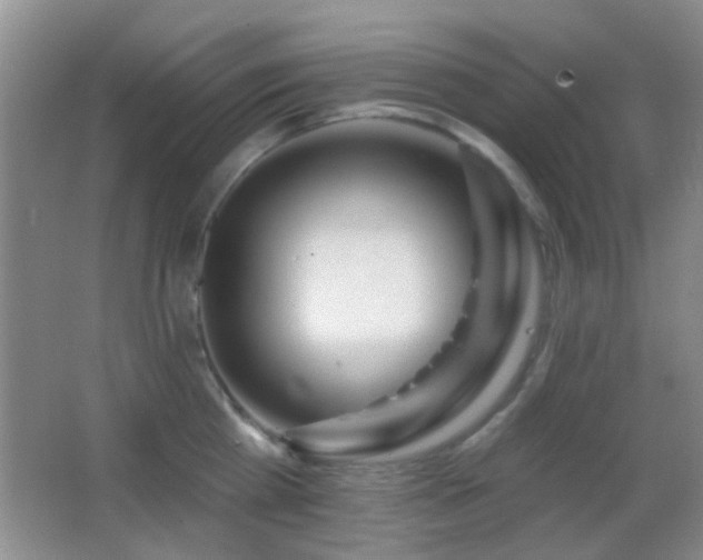 X0000062910809200601131424