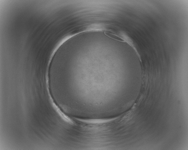 X0000062910811200601131424