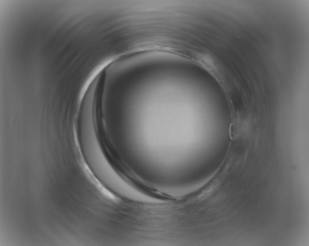 X0000062910812200601131424