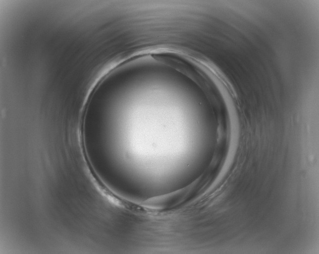 X0000062910813200601131424