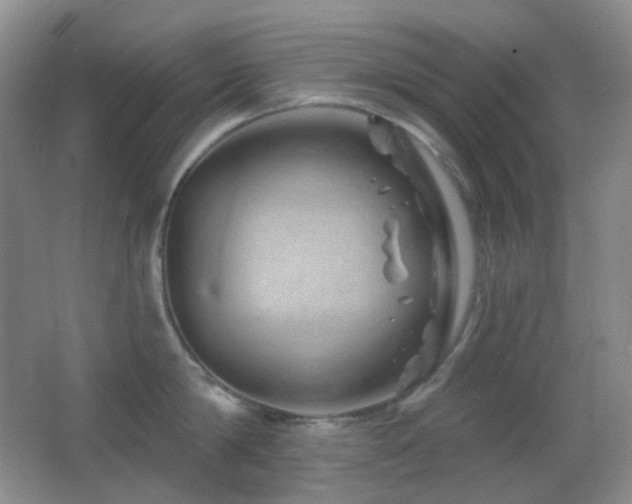 X0000062910814200601131424