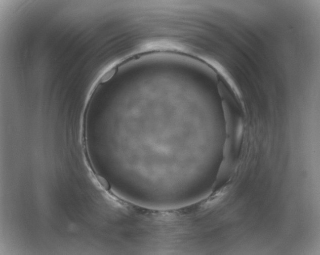 X0000062910815200601131424