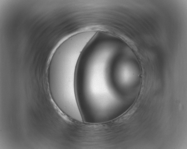 X0000062910816200601131424