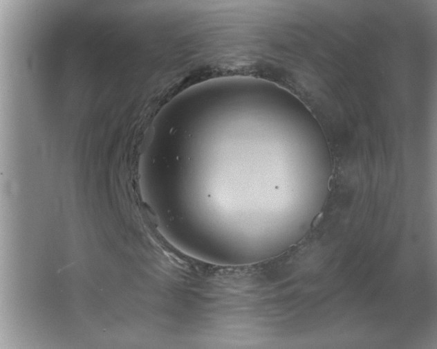 X0000062910817200601131424