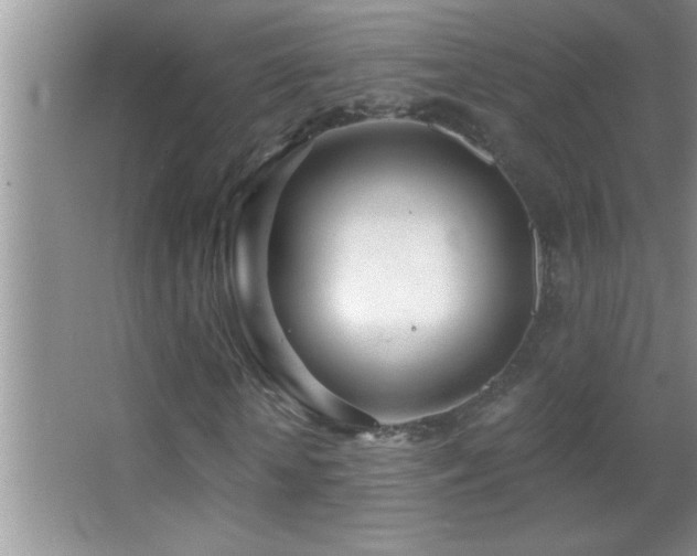 X0000062910818200601131424