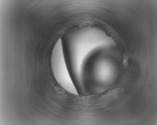 X0000062910819200601131424