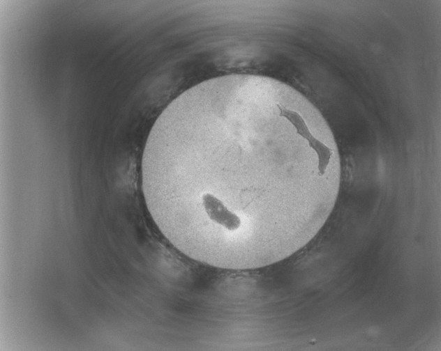 X0000062910820200601131424