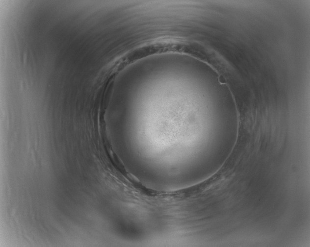 X0000062910821200601131424