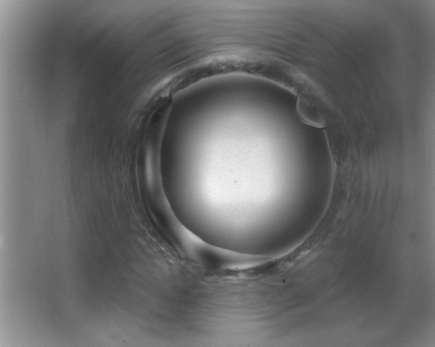 X0000062910822200601131424