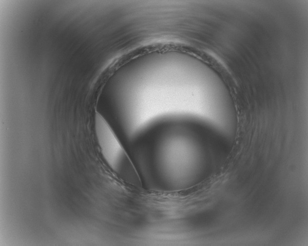 X0000062910823200601131424