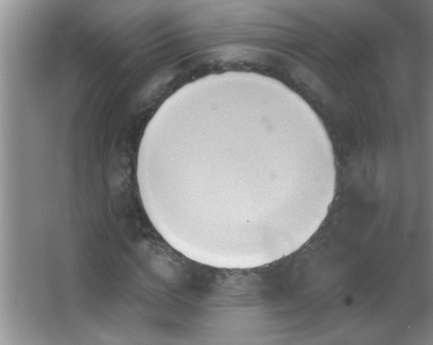 X0000062910824200601131424