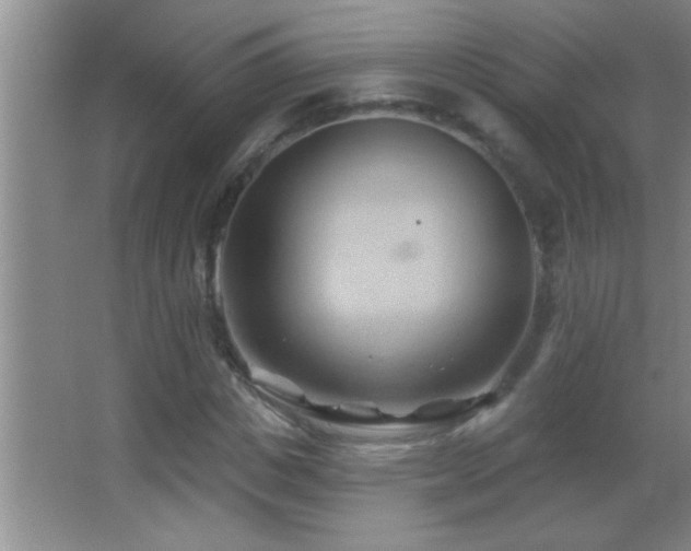 X0000062910825200601131424