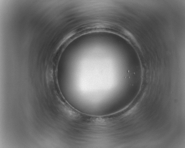 X0000062910827200601131424