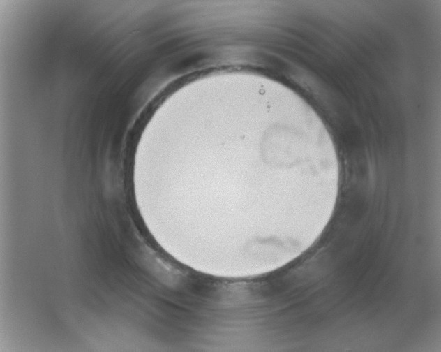 X0000062910828200601131424