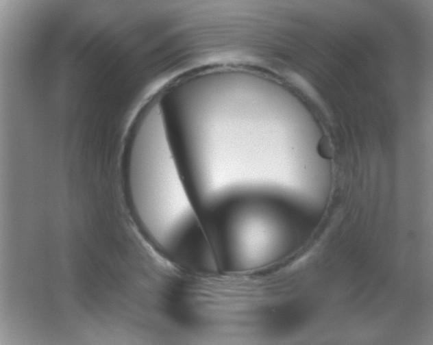 X0000062910831200601131424